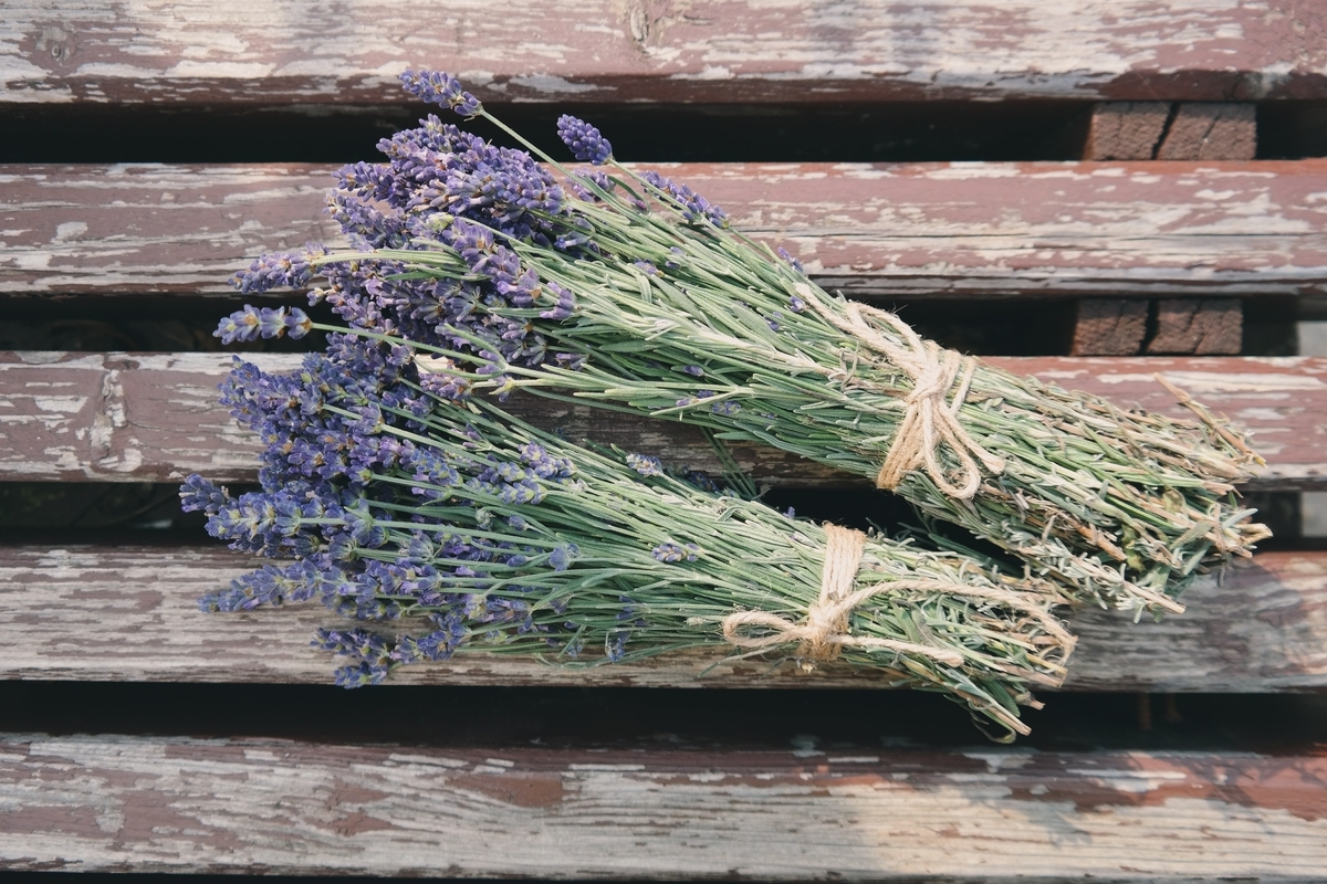 f:id:plantbaseddream:20190723104146j:plain f:id:plantbaseddream:20190723104146j:plain