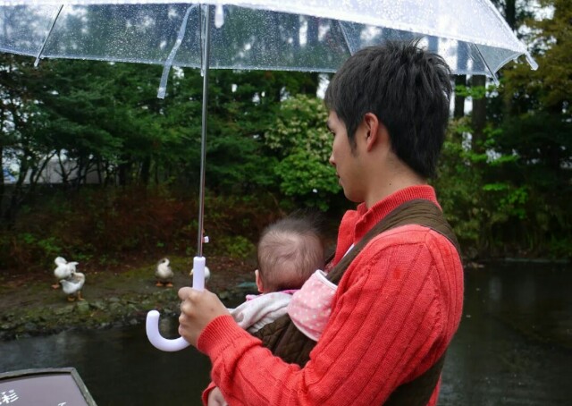 f:id:planterplantan:20150508213246j:image f:id:planterplantan:20150508213246j:image
