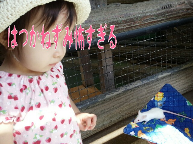 f:id:planterplantan:20151218001641j:image f:id:planterplantan:20151218001641j:image