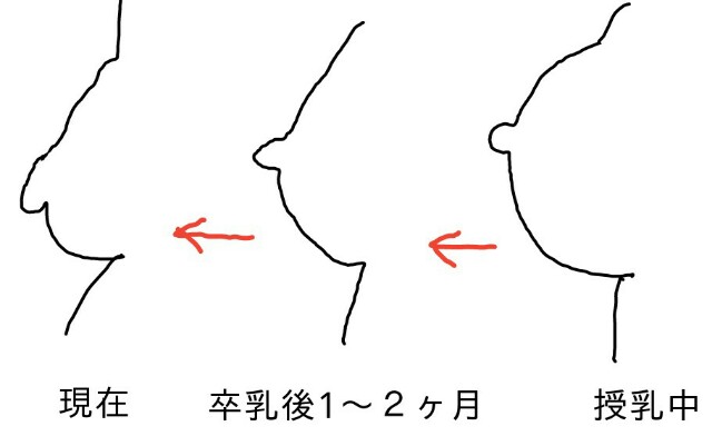 f:id:planterplantan:20160210003550j:image f:id:planterplantan:20160210003550j:image