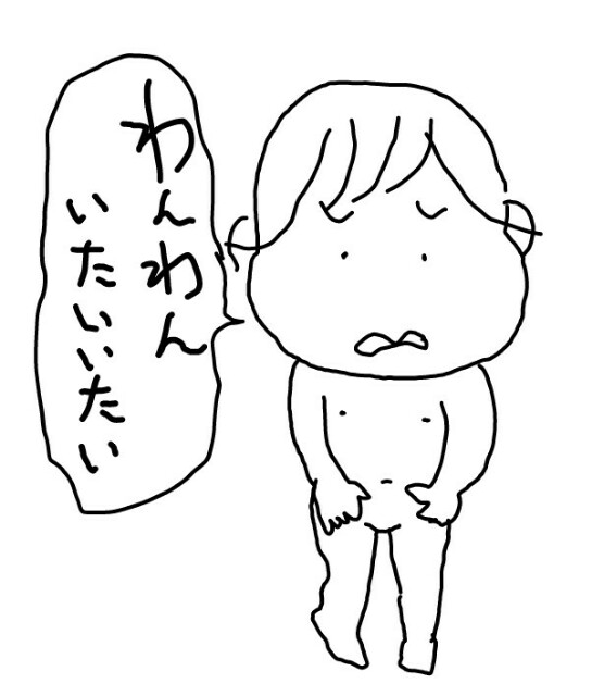 f:id:planterplantan:20160211005131j:image f:id:planterplantan:20160211005131j:image