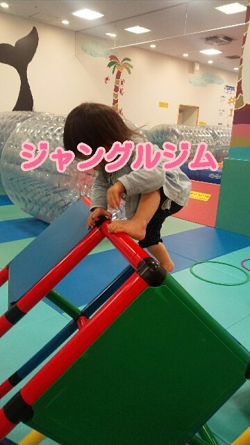 f:id:planterplantan:20161119165119j:image f:id:planterplantan:20161119165119j:image
