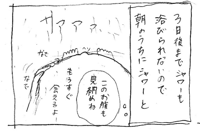 f:id:planterplantan:20170701174332j:image f:id:planterplantan:20170701174332j:image