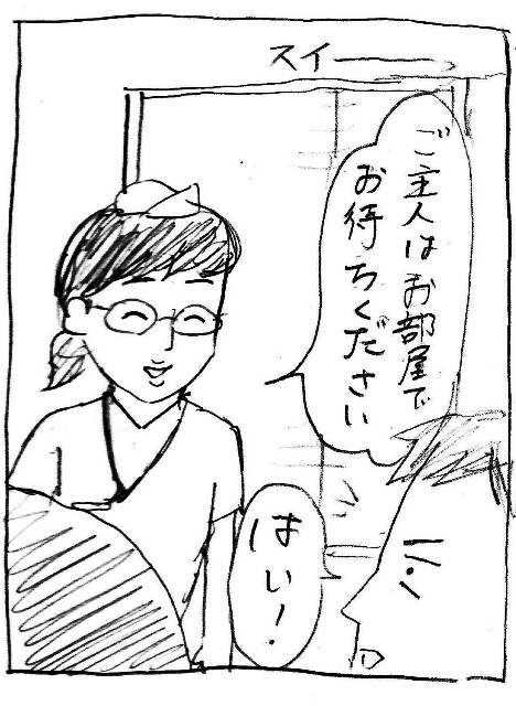 f:id:planterplantan:20170705212543j:image f:id:planterplantan:20170705212543j:image