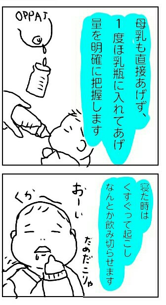 f:id:planterplantan:20171103005636j:image f:id:planterplantan:20171103005636j:image