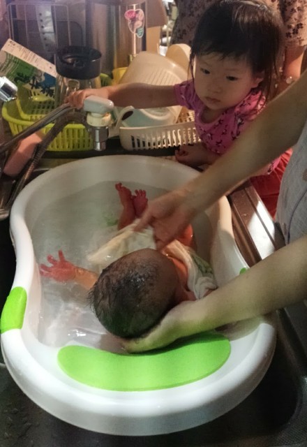 f:id:planterplantan:20180903115127j:image f:id:planterplantan:20180903115127j:image