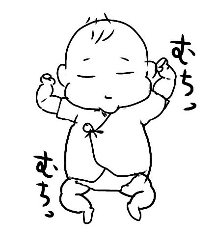 f:id:planterplantan:20181016001606j:image f:id:planterplantan:20181016001606j:image