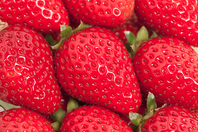 f:id:plantfactory:20190614105543p:plain f:id:plantfactory:20190614105543p:plain