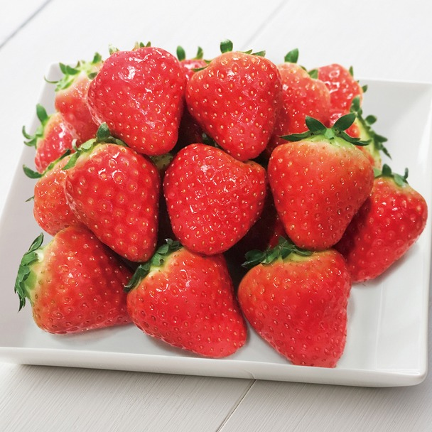 f:id:plantfactory:20190616113406p:plain f:id:plantfactory:20190616113406p:plain