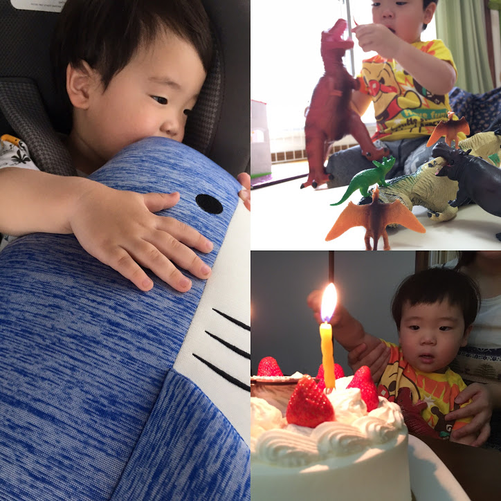 f:id:plantkd:20170612012503j:plain