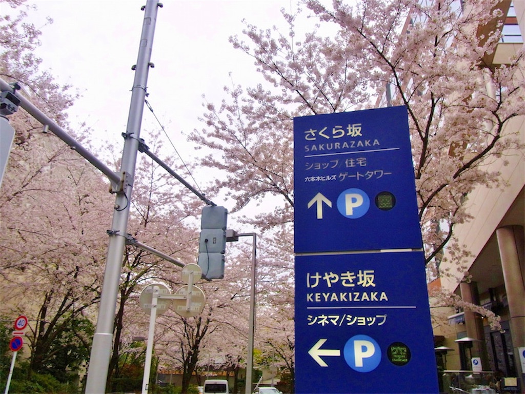 欅坂46を超えろ」を肯定するー欅坂46、櫻坂46に改名発表 2020年9