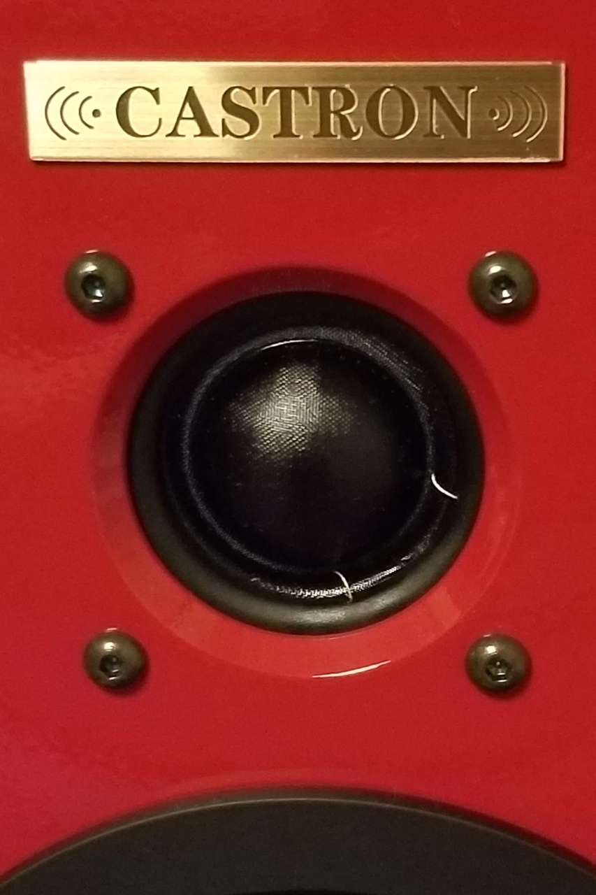 f:id:platycerus:20190815125429j:image:w150