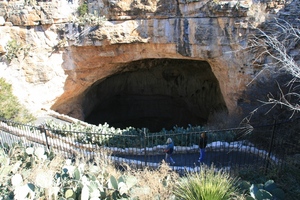 f:id:platypus-egg:20080101113806j:image f:id:platypus-egg:20080101113806j:image