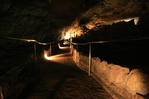 f:id:platypus-egg:20080101115452j:image f:id:platypus-egg:20080101115452j:image
