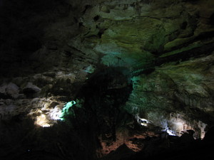 f:id:platypus-egg:20080101120114j:image f:id:platypus-egg:20080101120114j:image
