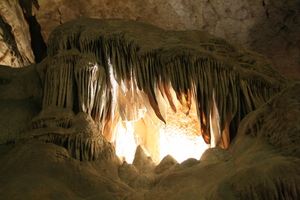 f:id:platypus-egg:20080101120530j:image f:id:platypus-egg:20080101120530j:image