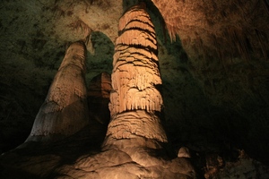 f:id:platypus-egg:20080101132704j:image f:id:platypus-egg:20080101132704j:image