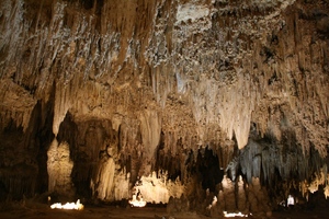 f:id:platypus-egg:20080101142943j:image f:id:platypus-egg:20080101142943j:image