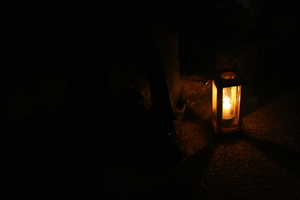 f:id:platypus-egg:20080101150105j:image f:id:platypus-egg:20080101150105j:image