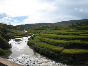 f:id:platypus-egg:20080310052445j:image f:id:platypus-egg:20080310052445j:image