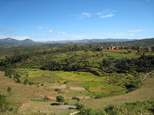 f:id:platypus-egg:20080312233407j:image f:id:platypus-egg:20080312233407j:image