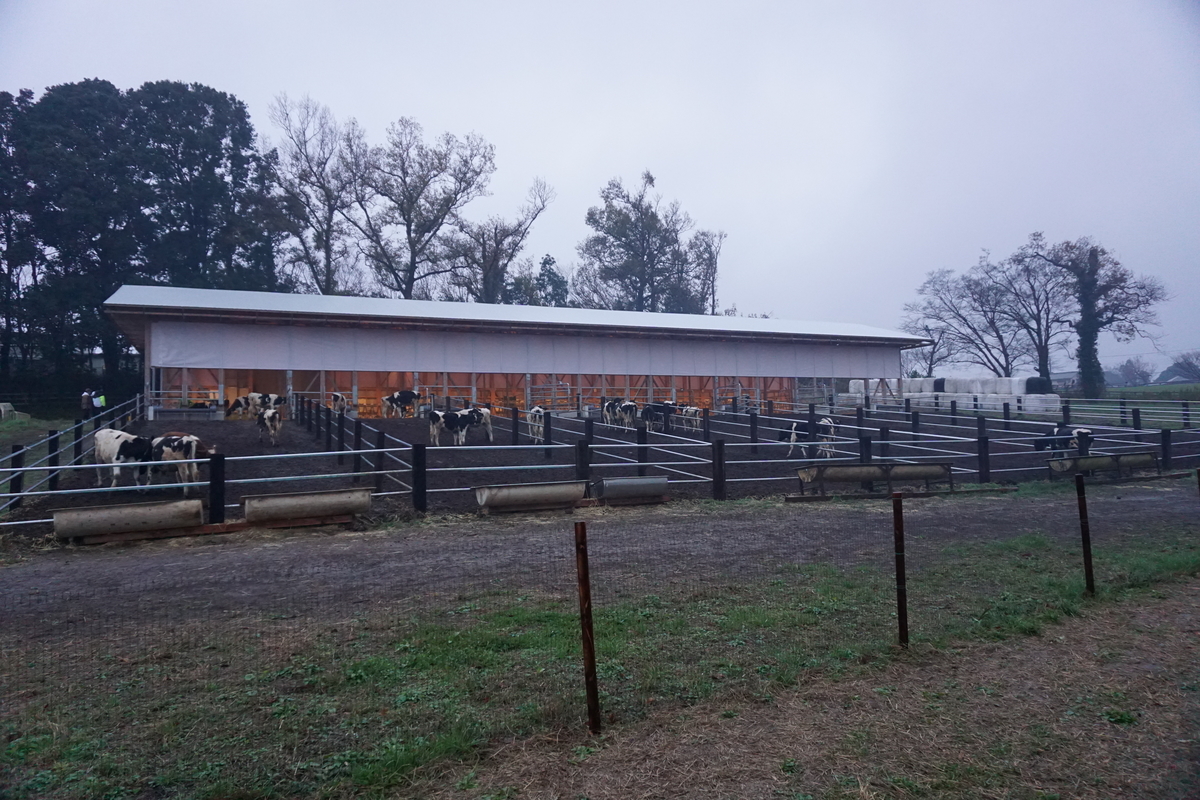 f:id:play7masa:20201206184100j:plain