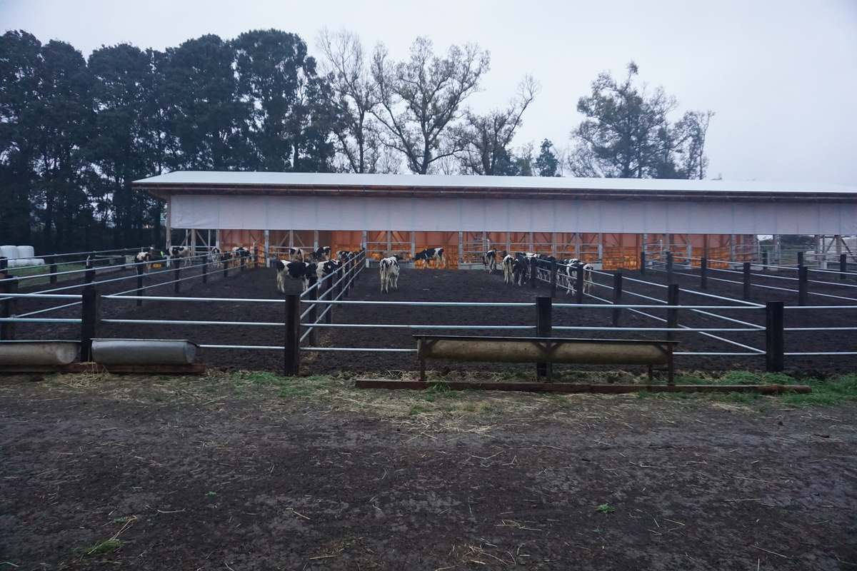 f:id:play7masa:20201206184133j:plain