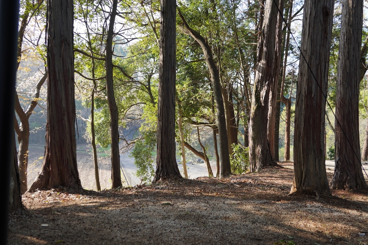 f:id:play7masa:20220415105007j:plain