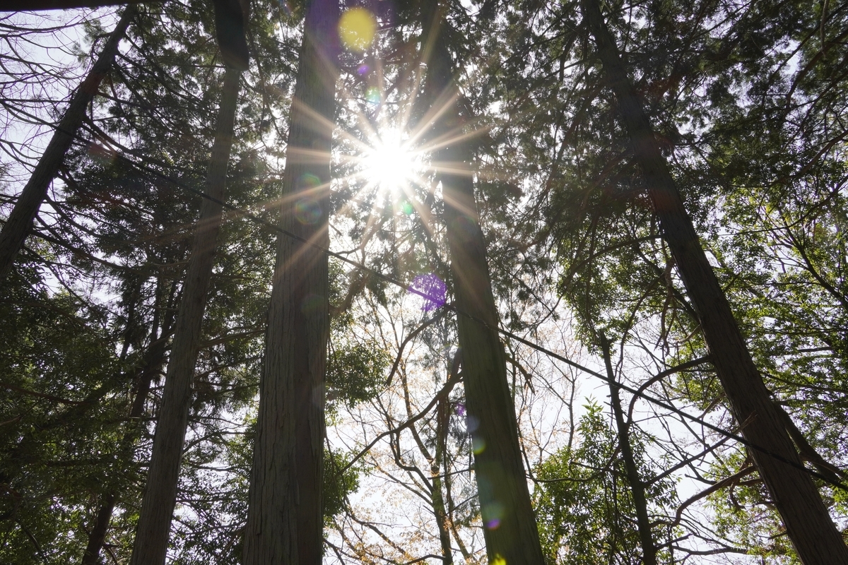 f:id:play7masa:20220415130102j:plain