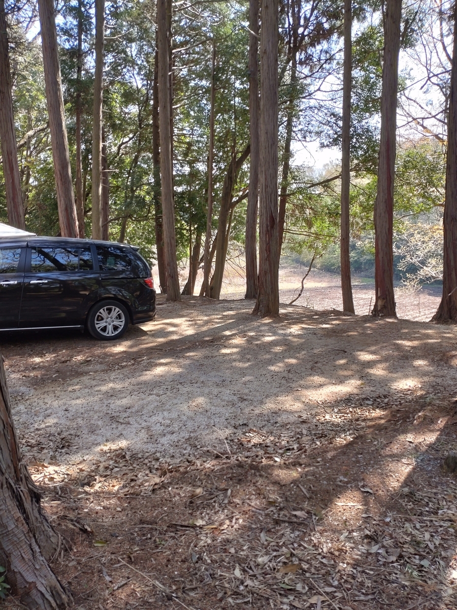 f:id:play7masa:20220415130901j:plain