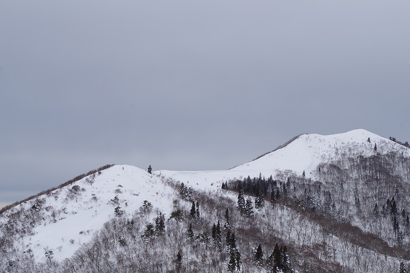 f:id:play_mountains:20191230214706j:plain f:id:play_mountains:20191230214706j:plain