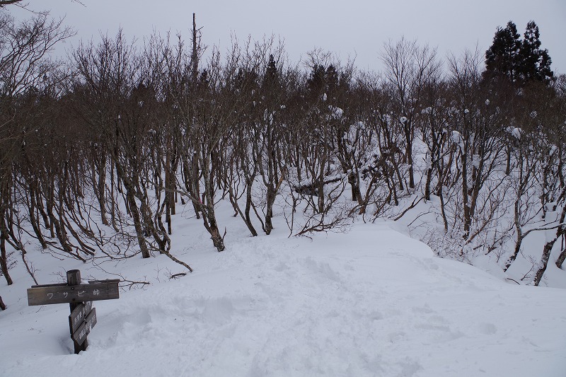 f:id:play_mountains:20191230214711j:plain f:id:play_mountains:20191230214711j:plain