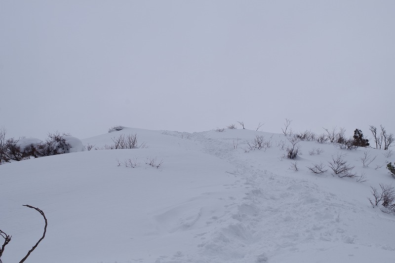 f:id:play_mountains:20191230214722j:plain f:id:play_mountains:20191230214722j:plain