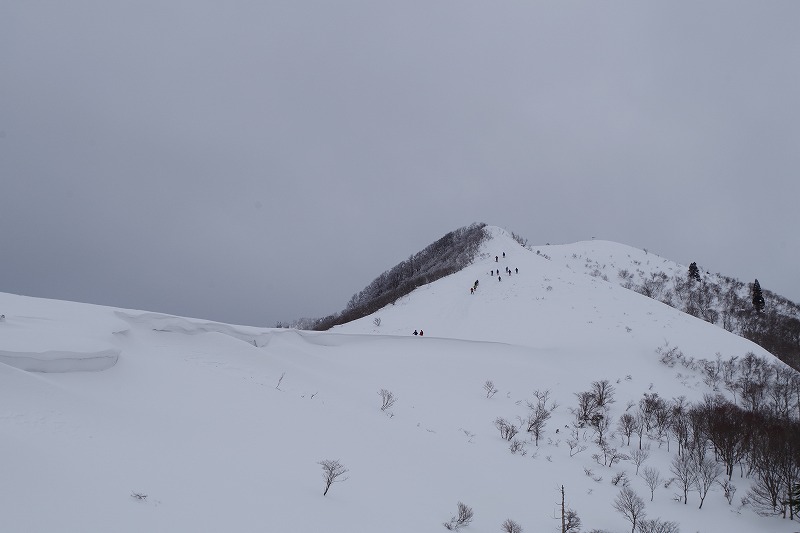 f:id:play_mountains:20191230214730j:plain f:id:play_mountains:20191230214730j:plain