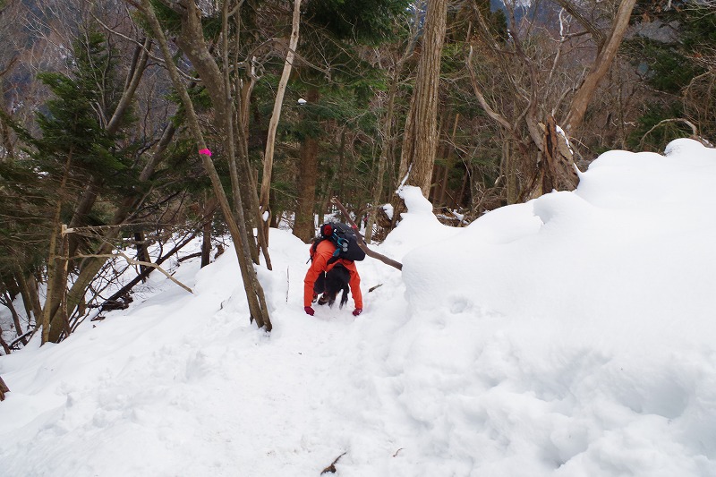f:id:play_mountains:20191230214834j:plain f:id:play_mountains:20191230214834j:plain