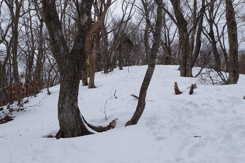 f:id:play_mountains:20191230214847j:plain f:id:play_mountains:20191230214847j:plain