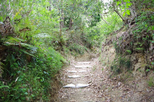 f:id:play_mountains:20200509200437j:plain f:id:play_mountains:20200509200437j:plain