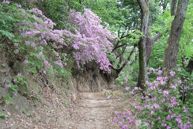 f:id:play_mountains:20200509200442j:plain f:id:play_mountains:20200509200442j:plain