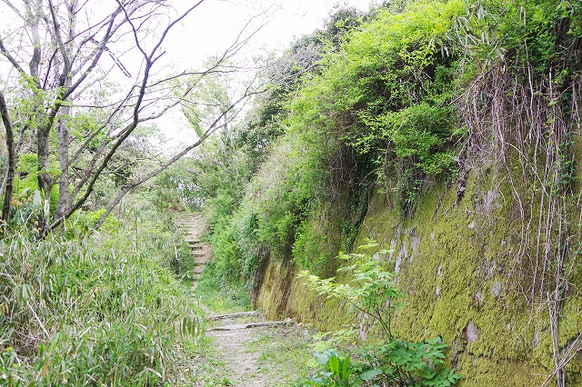f:id:play_mountains:20200509200505j:plain f:id:play_mountains:20200509200505j:plain