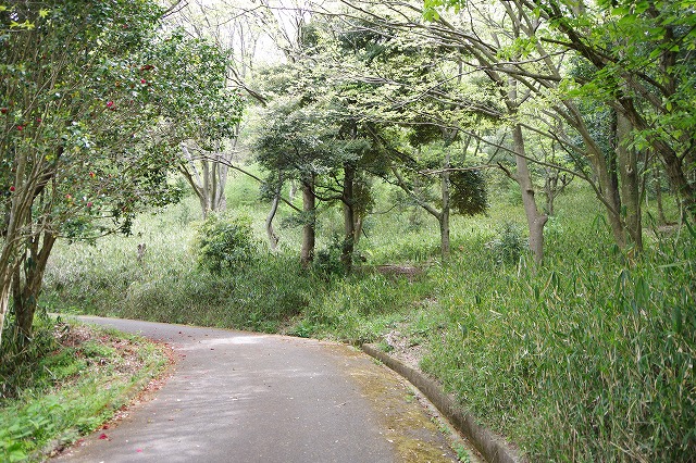 f:id:play_mountains:20200509200543j:plain f:id:play_mountains:20200509200543j:plain