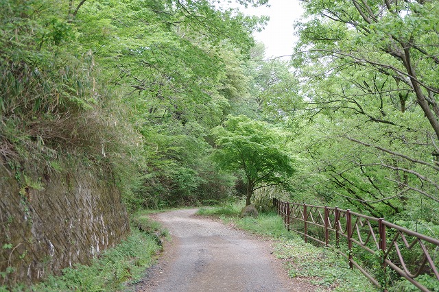 f:id:play_mountains:20200509200733j:plain f:id:play_mountains:20200509200733j:plain