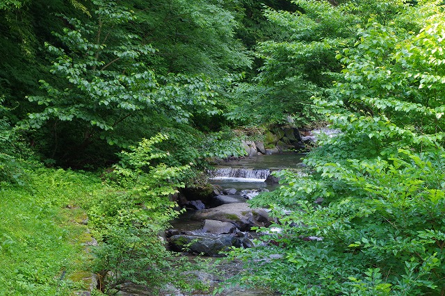 f:id:play_mountains:20200619204147j:plain f:id:play_mountains:20200619204147j:plain