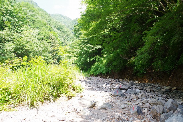 f:id:play_mountains:20200619204203j:plain f:id:play_mountains:20200619204203j:plain