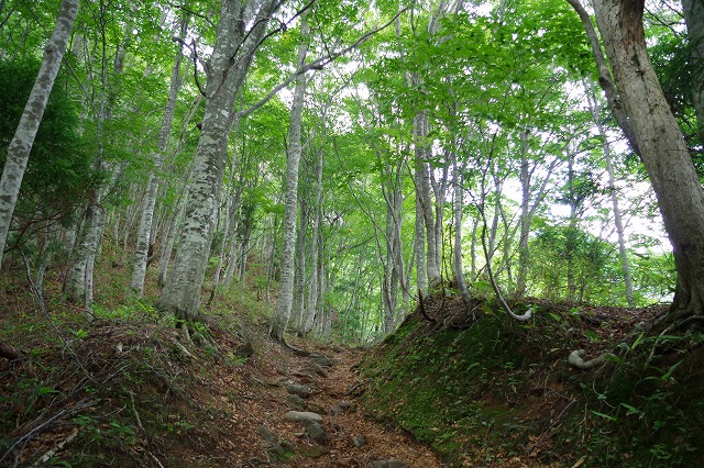 f:id:play_mountains:20200619204230j:plain f:id:play_mountains:20200619204230j:plain