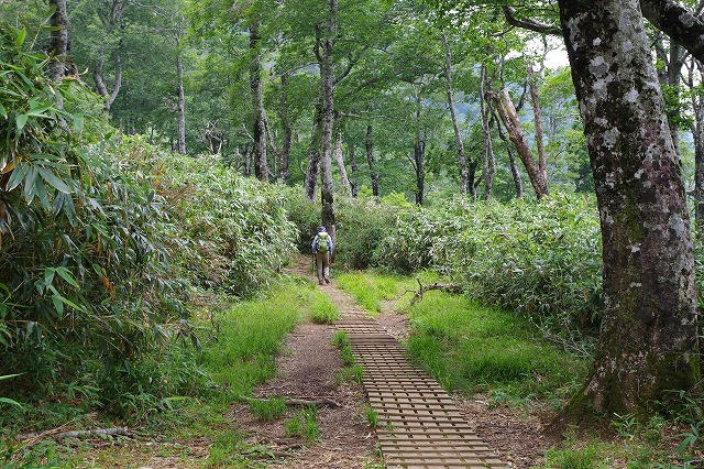 f:id:play_mountains:20200619204258j:plain f:id:play_mountains:20200619204258j:plain
