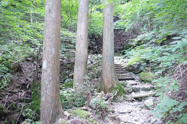 f:id:play_mountains:20200823214830j:plain f:id:play_mountains:20200823214830j:plain