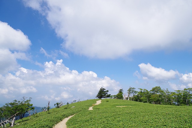 f:id:play_mountains:20200823215214j:plain f:id:play_mountains:20200823215214j:plain