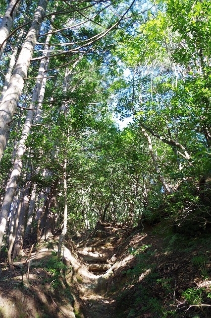 f:id:play_mountains:20200922224314j:plain f:id:play_mountains:20200922224314j:plain