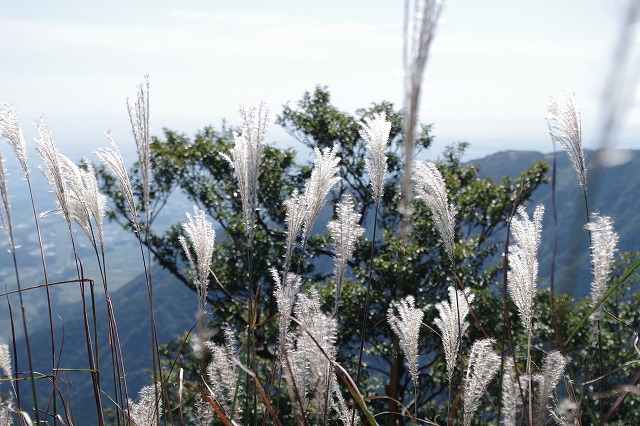 f:id:play_mountains:20200922224447j:plain f:id:play_mountains:20200922224447j:plain