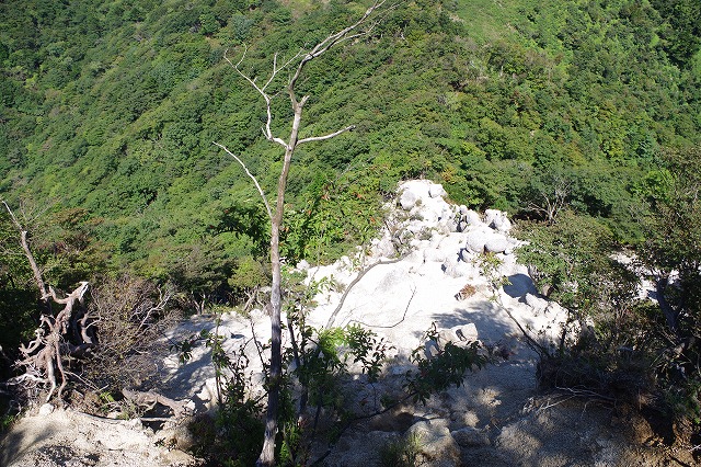 f:id:play_mountains:20200922224522j:plain f:id:play_mountains:20200922224522j:plain